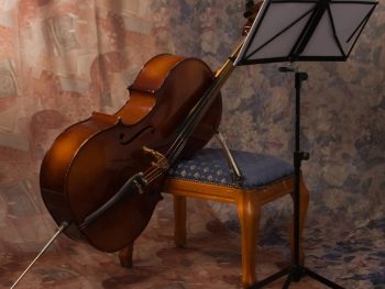 Violoncello