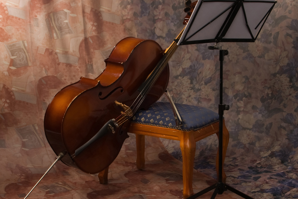 Violoncello