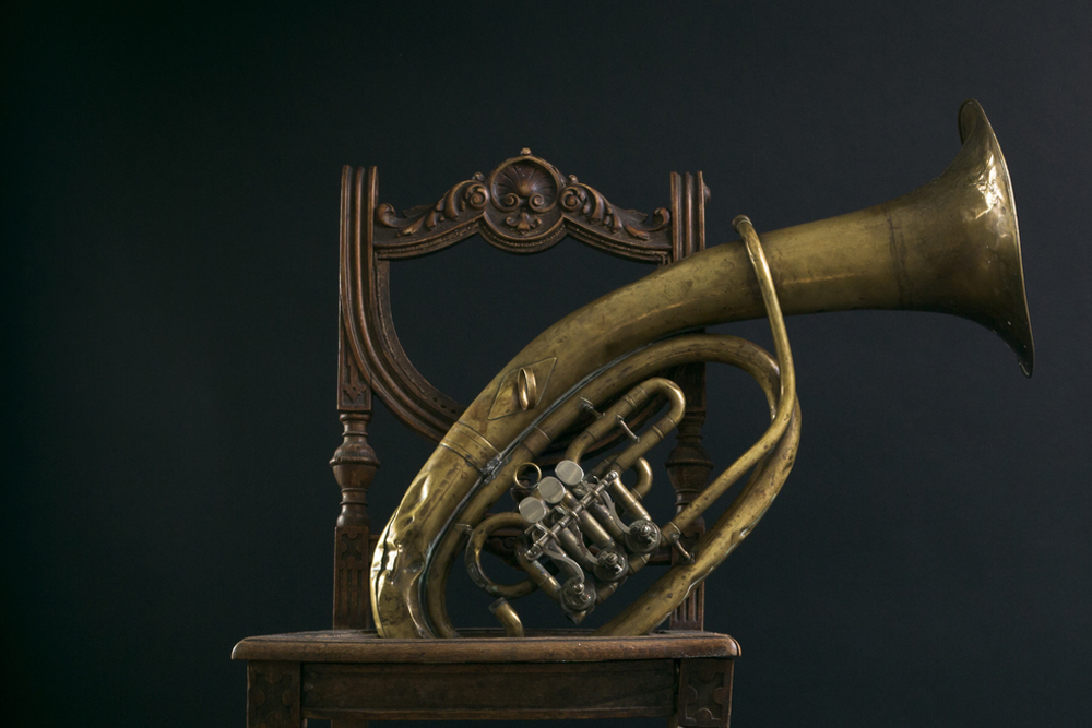 Tenorhorn