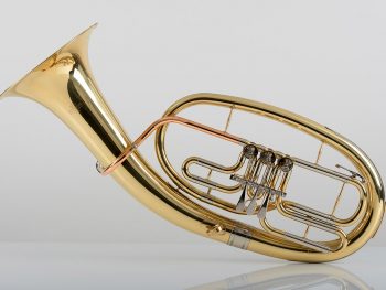 Tenorhorn